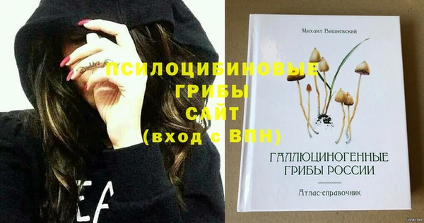 apvp Алзамай
