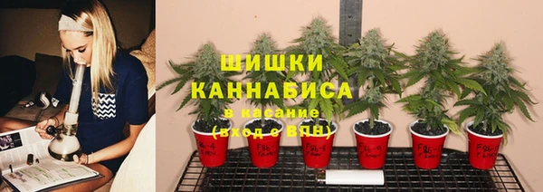 apvp Алзамай